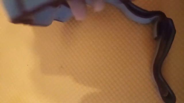 Предметы для хг❤️и как я собераю рюкзак на тренировку✨ смотреть онлайн