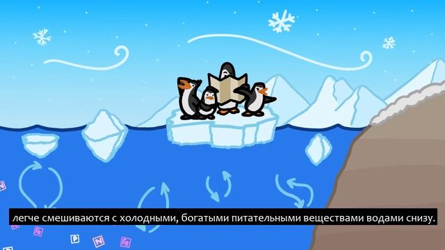 ПОЧЕМУ НА ЭКВАТОРЕ ВОДЯТСЯ ПИНГВИНЫ? [РУССКИЕ СУБТИТРЫ] смотреть онлайн
