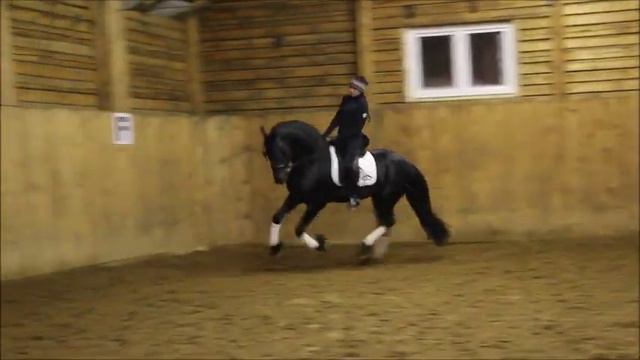 ТИТУЛОВАННЫЙ ФРИЗСКИЙ ЖЕРЕБЕЦ!!! 2010. 170 В/Х смотреть онлайн