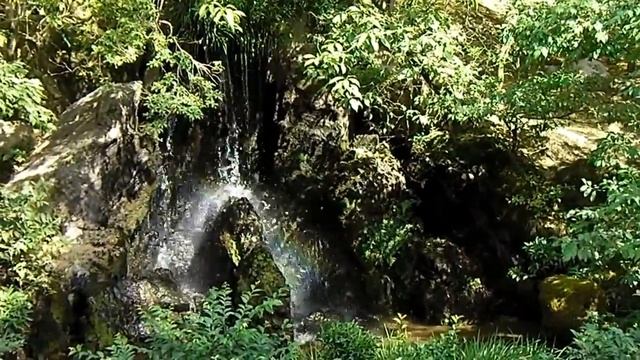 Парк храма Кинкакудзи 5 смотреть онлайн