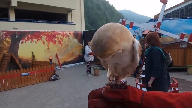 Белла полет с моста