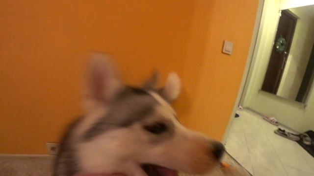 ОООЧЕНЬ СИЛЬНОЕ ВЛЕЧЕНИЕ К БУТЫЛКАМ смотреть онлайн