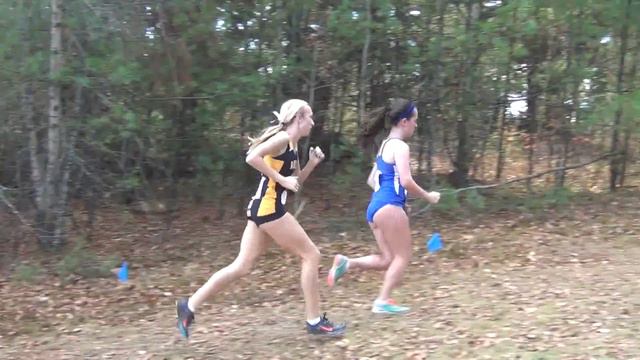 11/8/15 - NCAA DII East Region XC Championships - Women's 6k смотреть онлайн