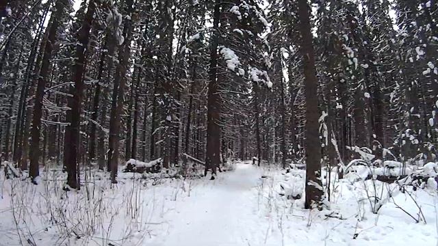 Мелодия севера для самоеда смотреть онлайн