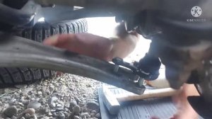 Volkswagen Tiguan замена шаровых и стоек стабилизатора спереди