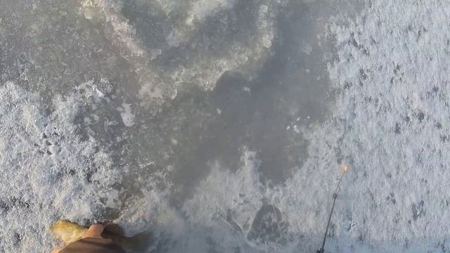 Сезон рыбалки со льда открыт и сразу пошел крупняк смотреть онлайн