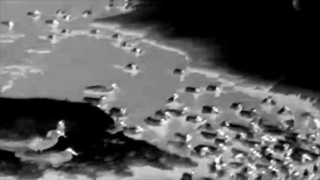 Тепловизор IRay XEye C2w обзор и тест.