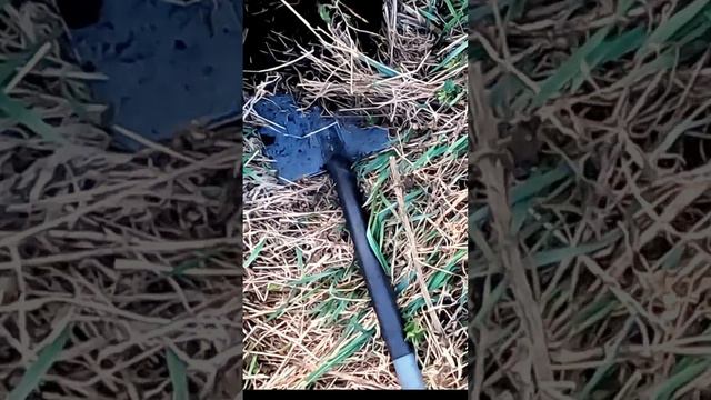 Здоровский сигнал! смотреть онлайн