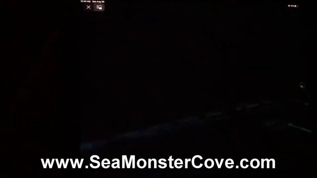 EXPERIENCE SeaMonsterCove.com Massive shark circles and attacks your cage! смотреть онлайн