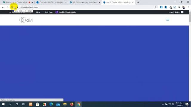 Cumilla -Chandina Web Batch Class -17 WordPress Part 15 смотреть онлайн