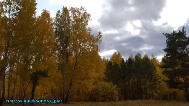 Родная женщина смотреть онлайн