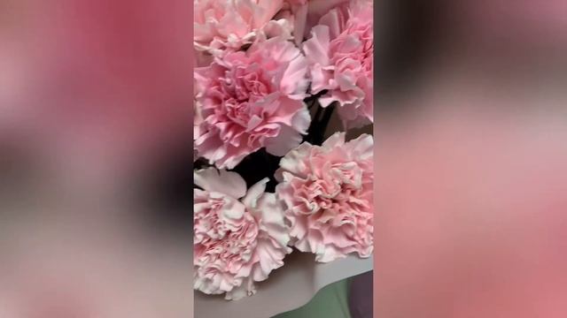 Букет розовых диантусов смотреть онлайн