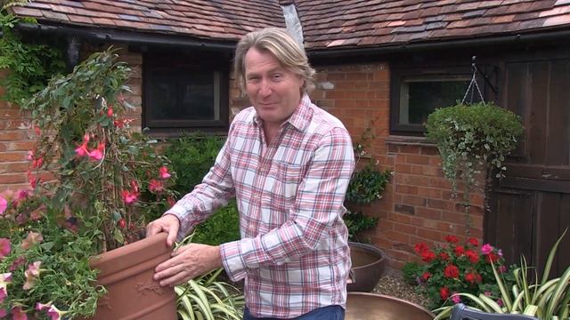 How to over winter your fuchsia with David Domoney смотреть онлайн