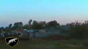 Бойцовый кот/Марш бойцовых Котов