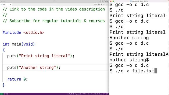 puts() Function | C Programming Tutorial смотреть онлайн