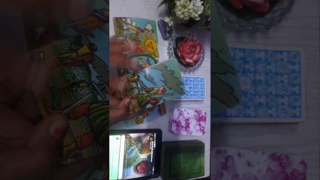 Live Tarot Session ( Free & Paid Guidance for your situation) . смотреть онлайн
