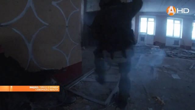 Морские пехотинцы Северного флота обучают мобилизованных северян штурму и захвату зданий смотреть онлайн
