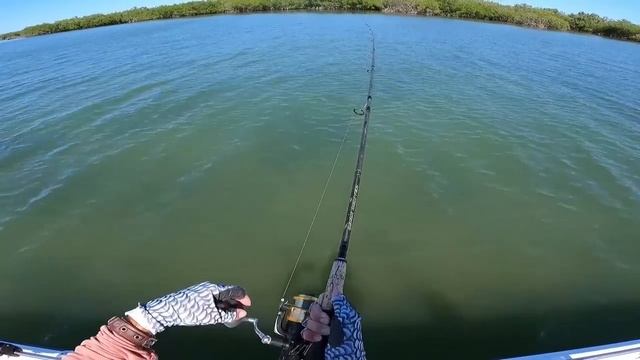 BIG FISH On The Flats In Crystal Clear Water! Snook and Tripletail Fishing смотреть онлайн