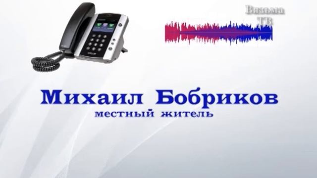 Житель Вязьмы утверждает, что на него в лесу напал медведь. смотреть онлайн