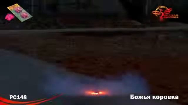 PC148 Божья коровка летающая вертушка