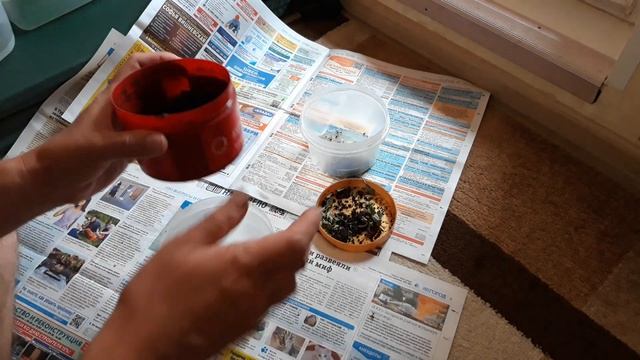 КАК ПРИГОТОВИТЬ ЧЕРВЯ ДЛЯ РЫБАЛКИ | ЧЕРВЬ ЛУЧШАЯ НАСАДКА НА КАРАСЯ, КАРПА | ТРИ НОВЫХ РЕЦЕПТА смотреть онлайн