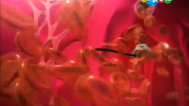 Мультфильм. Путешествия Адибу: Как устроен человек. Серия 10. Почему мне необходимо отдышаться смотреть онлайн