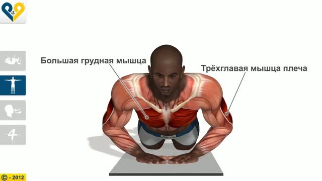 СПОРТ - ЭТО СИЛА ( алмазное отжимание ) смотреть онлайн