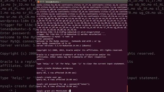 Wordpress installieren in nur 3 Minuten смотреть онлайн