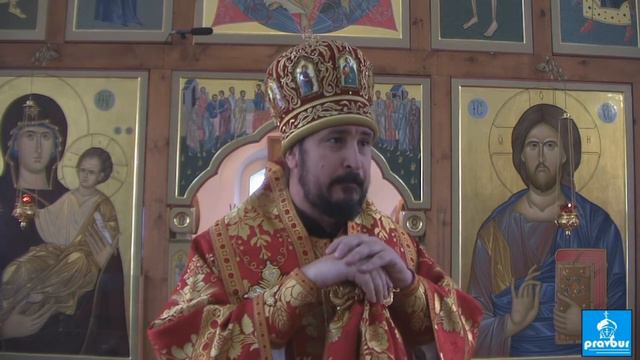 Слово архиепископа Савватия по окончании Божественной Литургии смотреть онлайн