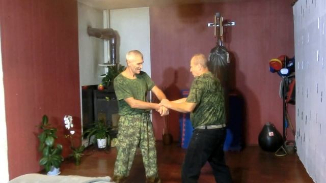 Стиль орла и змеи Universal combat system. Связки 3 продолжение смотреть онлайн