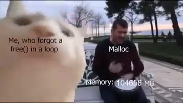 Cat Vibing to Ievan Polkka but it's segfault (fricking malloc) смотреть онлайн