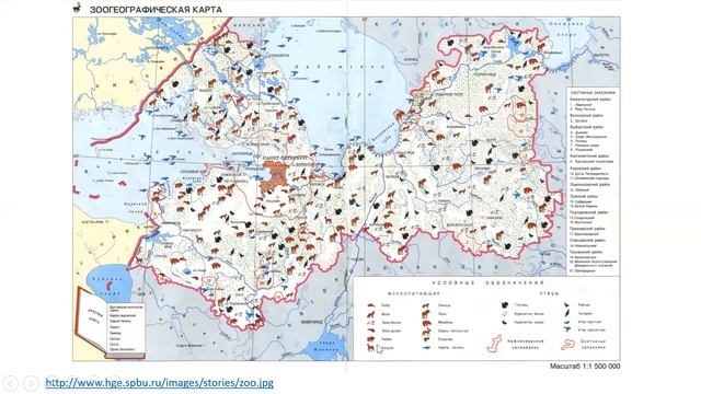 КУЗНЕЦОВА ГЕО СПб и ЛО КОНСУЛЬТАЦИЯ
