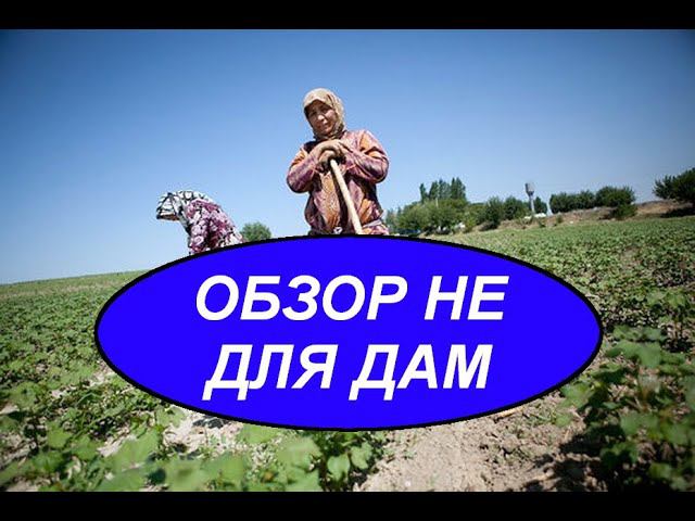 ОБЗОР НЕ ДЛЯ ДАМ смотреть онлайн