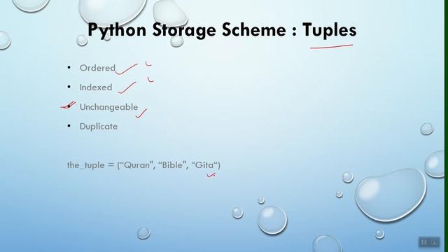 #9 Python Storage Scheme смотреть онлайн
