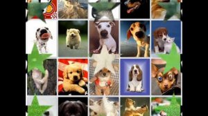 Собака бывает кусачей!