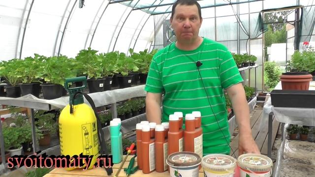 Какие факторы влияют на эффективность листовых подкормок смотреть онлайн