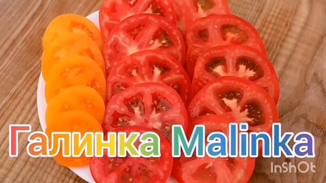 Ольга Уралочка live /Фас, заслужили мясо /Обзор Влогов /Уралочка и Сафар / смотреть онлайн