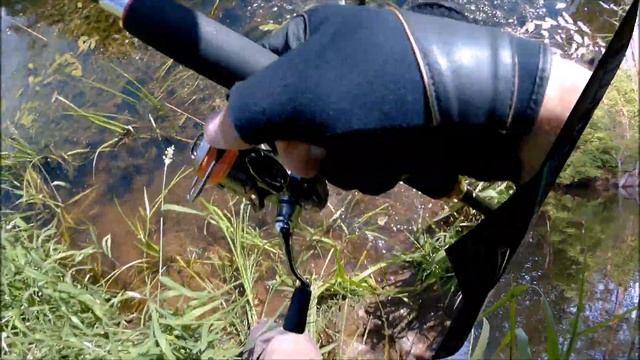 TIEMCO Cicada Bass tuned и Голавль. смотреть онлайн