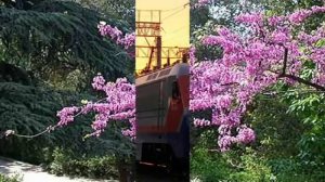 Ромео и Джульетта  Воровайки