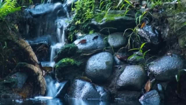 ዘማሪ ወርቅነህ አላሮ ቁ.1 ሙሉ አልበም II Workneh Alaro protestant song смотреть онлайн