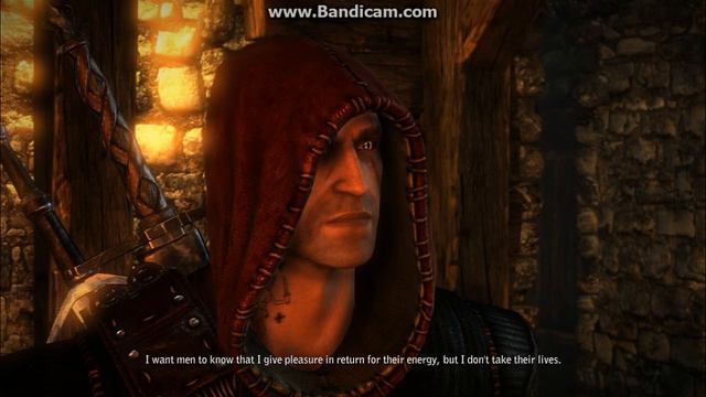 Witcher 2 ~ Succubus Fun w/ Cat-tastrophy смотреть онлайн