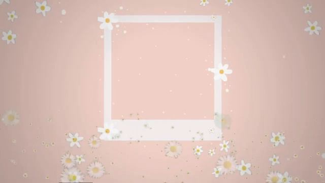 Футаж. Фон ромашковый для поздравлений смотреть онлайн