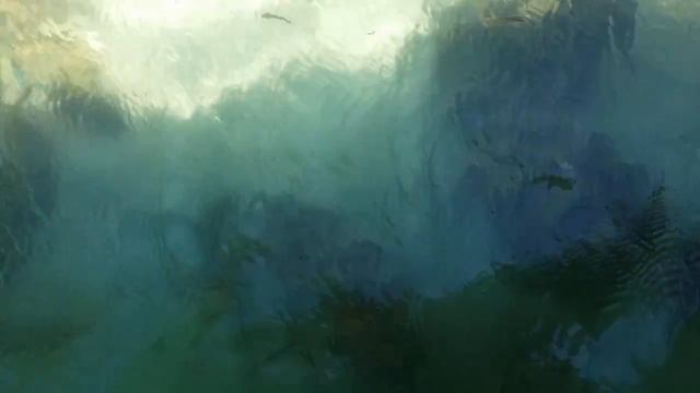 Tridacna gigas 5 смотреть онлайн