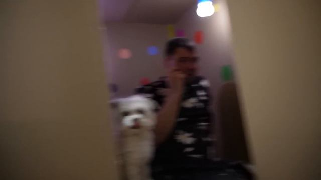 КАРТУН КЭТ В РЕАЛЬНОЙ ЖИЗНИ | 24 ЧАСА В КАРТОННОМ ДОМЕ С КОТАМИ И СОБАКОЙ