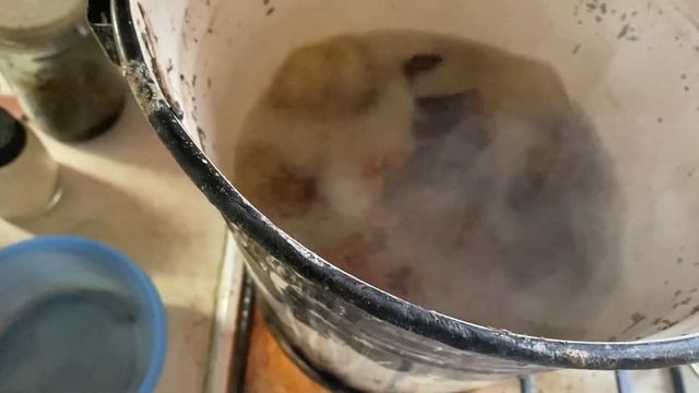 В лес за строчками / 15 мая 2021 смотреть онлайн