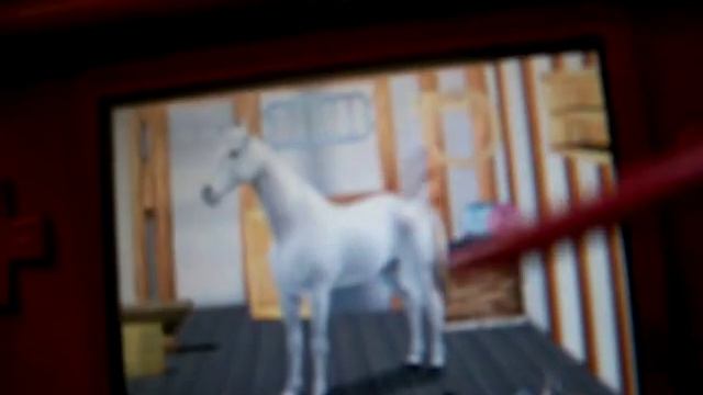 Grooming a horse in I Love Horses DS game смотреть онлайн