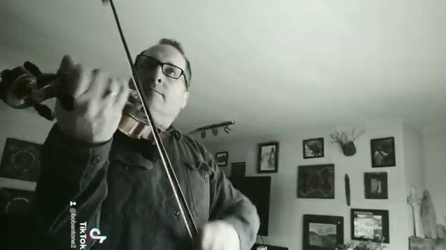 Shostakovich Waltz 2 смотреть онлайн