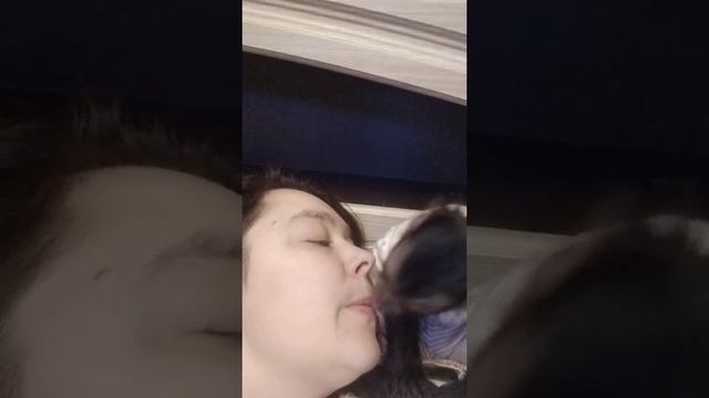 Целовашки от Ульяшки (бурый капуцин) смотреть онлайн