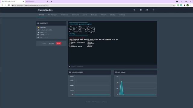 СОЗДАЛ СВОЙ БЕСПЛАТНЫЙ ХОСТИНГ МАЙНКРАФТ / GAMELY PRO / БЕСПЛАТНЫЙ MINECRAFT СЕРВЕР 24/7 2023 смотреть онлайн