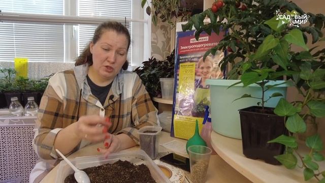 КАК САЖАТЬ ОГУРЦЫ НА РАССАДУ ПОДРОБНО ДЛЯ НОВИЧКОВ смотреть онлайн